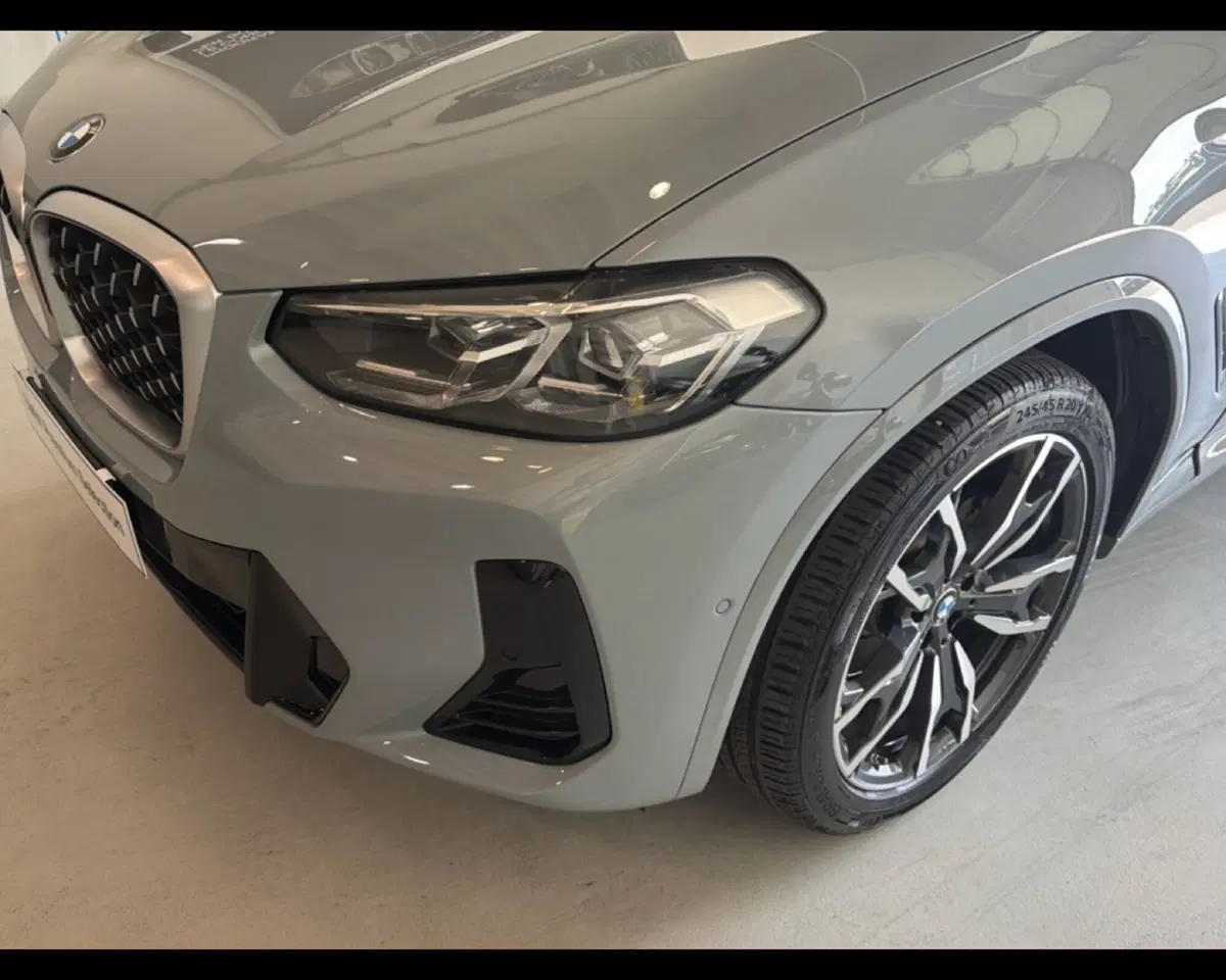 BMW X4 usata a Caserta (11)