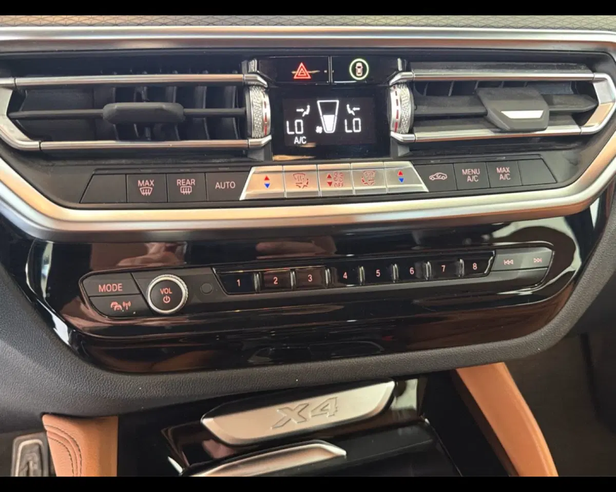 BMW X4 usata a Caserta (20)