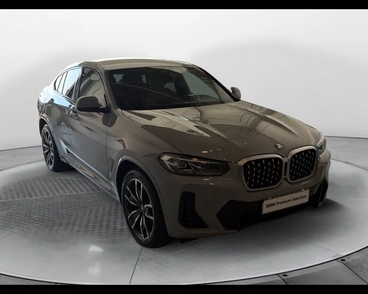 BMW X4 usata a Caserta (4)