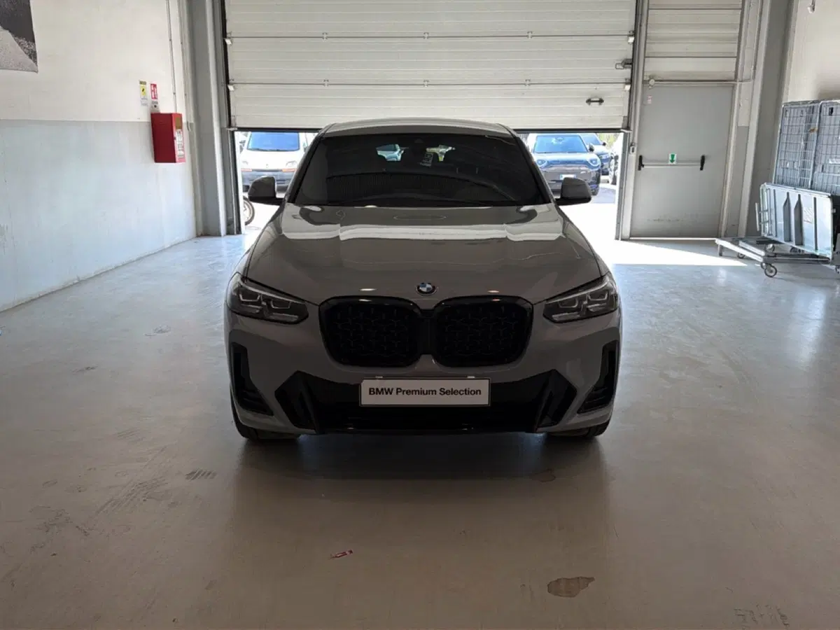 BMW X4 usata a Caserta (5)