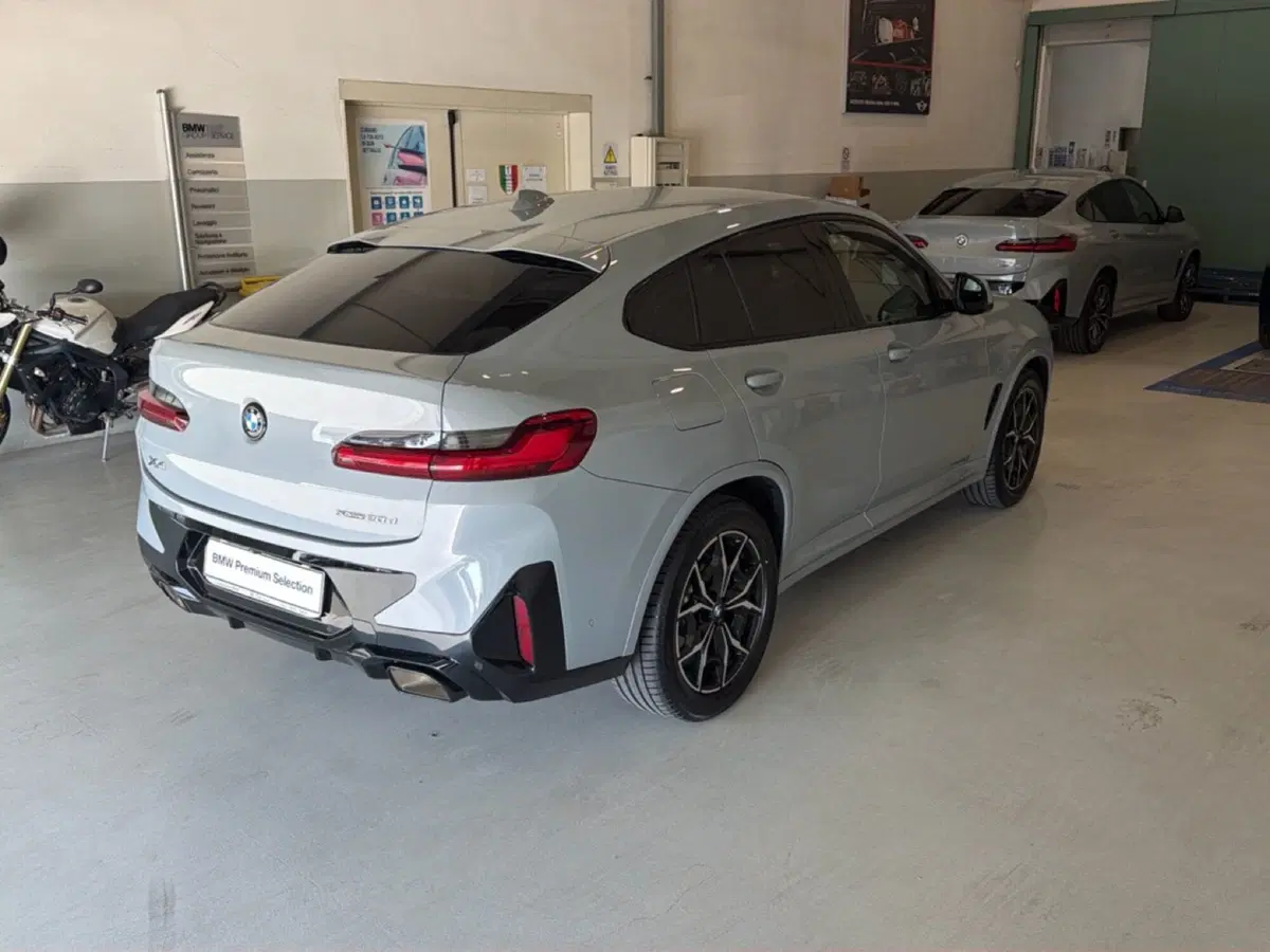 BMW X4 usata a Caserta (8)