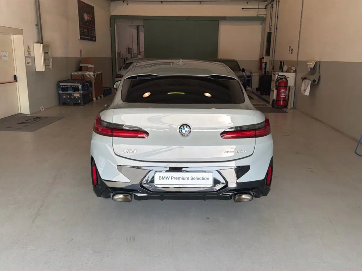 BMW X4 usata a Caserta (9)