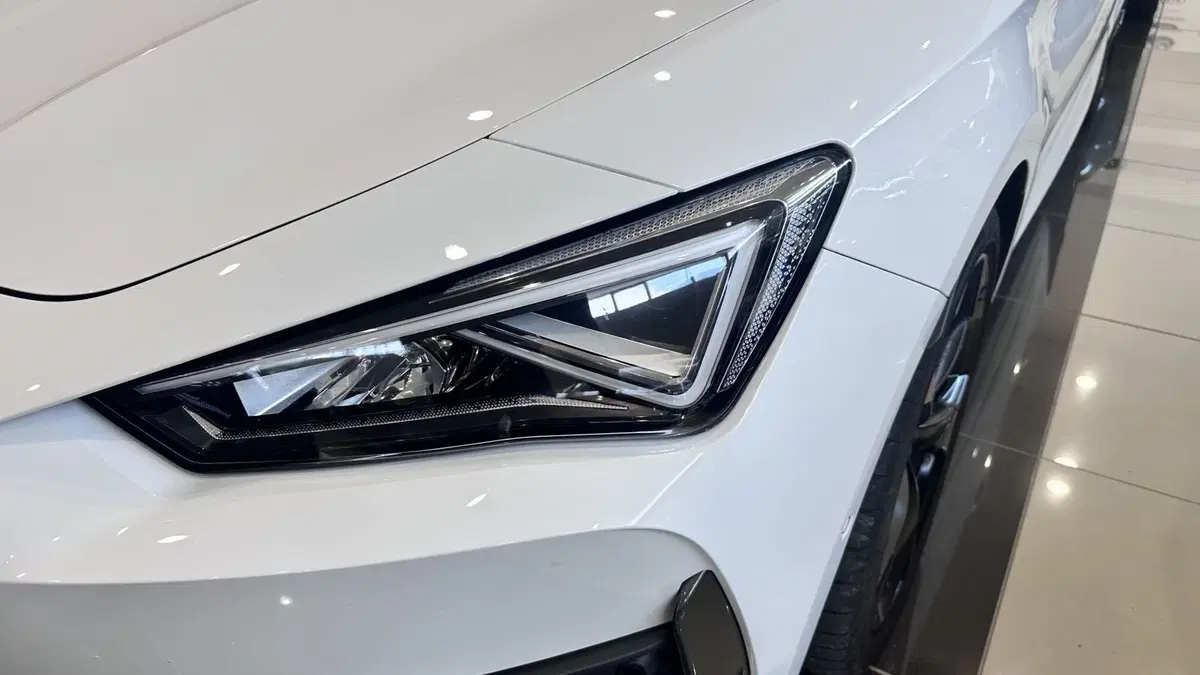 Cupra Leon usata a Vercelli (5)