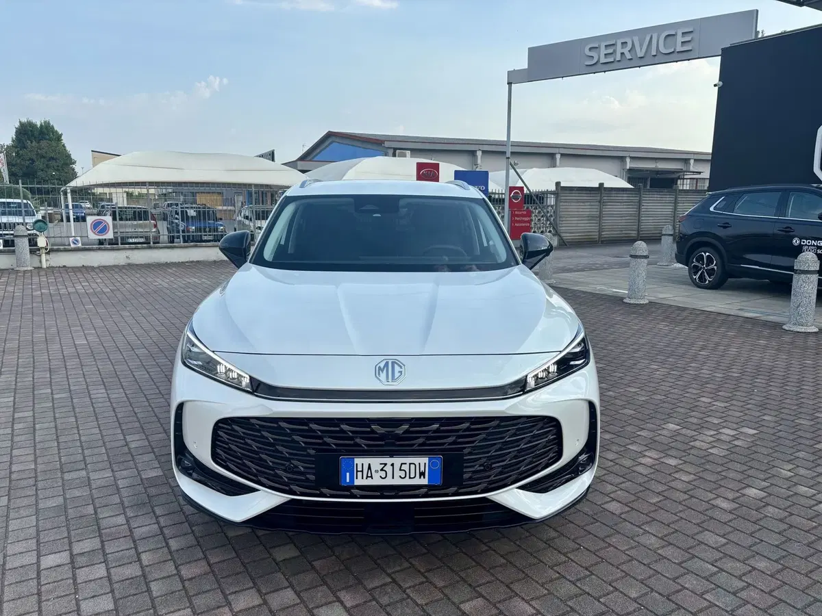 Mg HS usata a Vercelli (5)