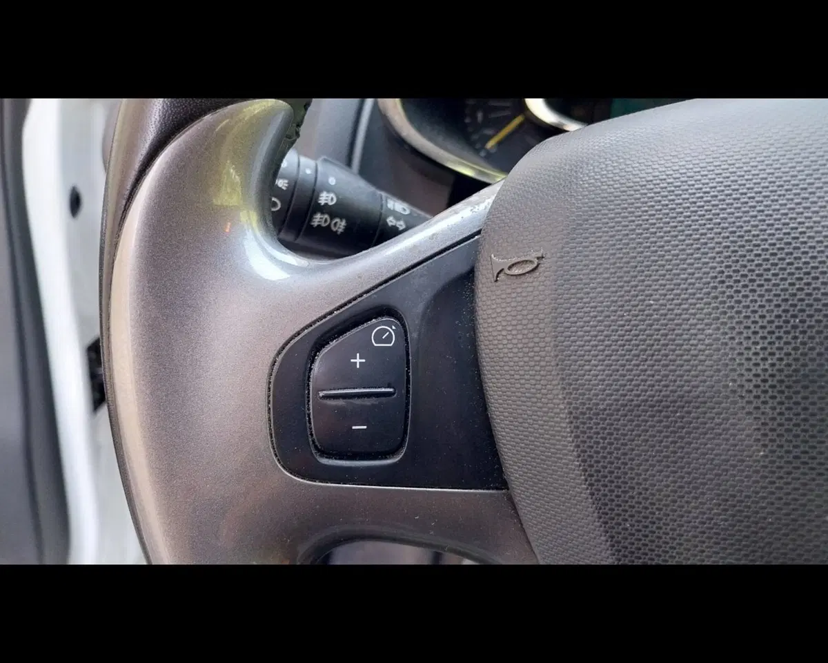 Renault Clio usata a Forlì-Cesena (10)