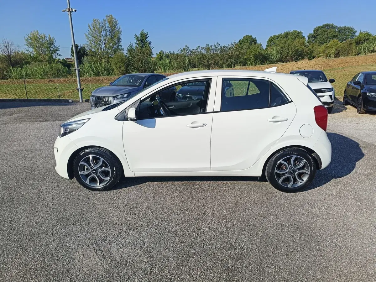 Kia Picanto usata a Pistoia (4)