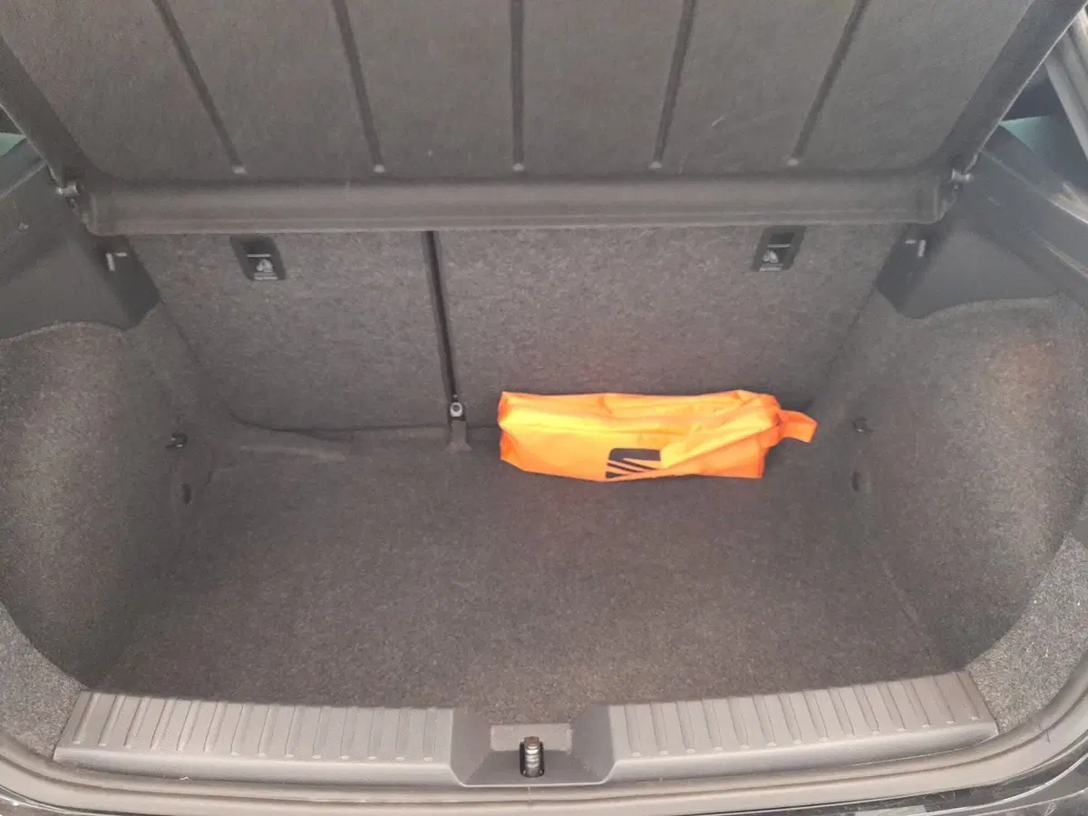 SEAT Ibiza usata a Bologna (17)