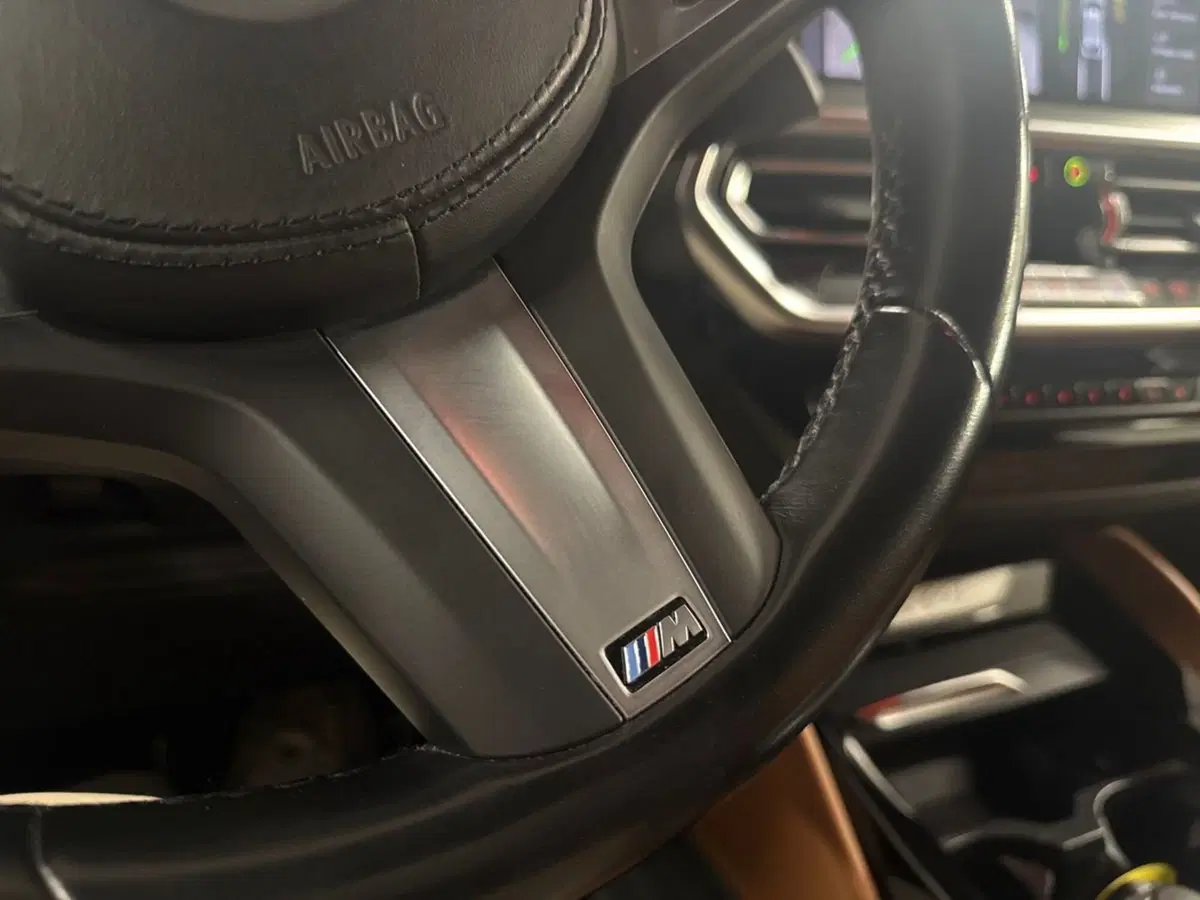 BMW X4 usata a Firenze (19)