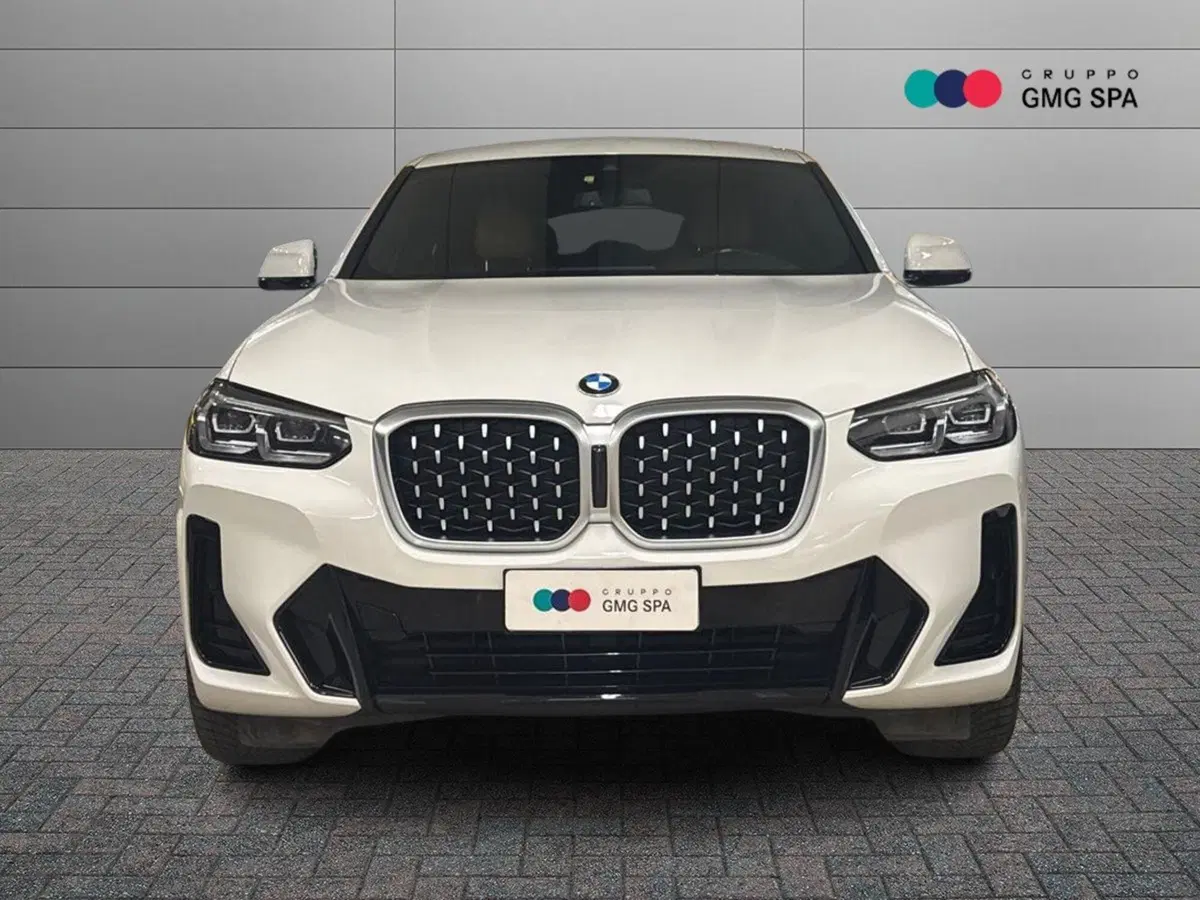 BMW X4 usata a Firenze (2)