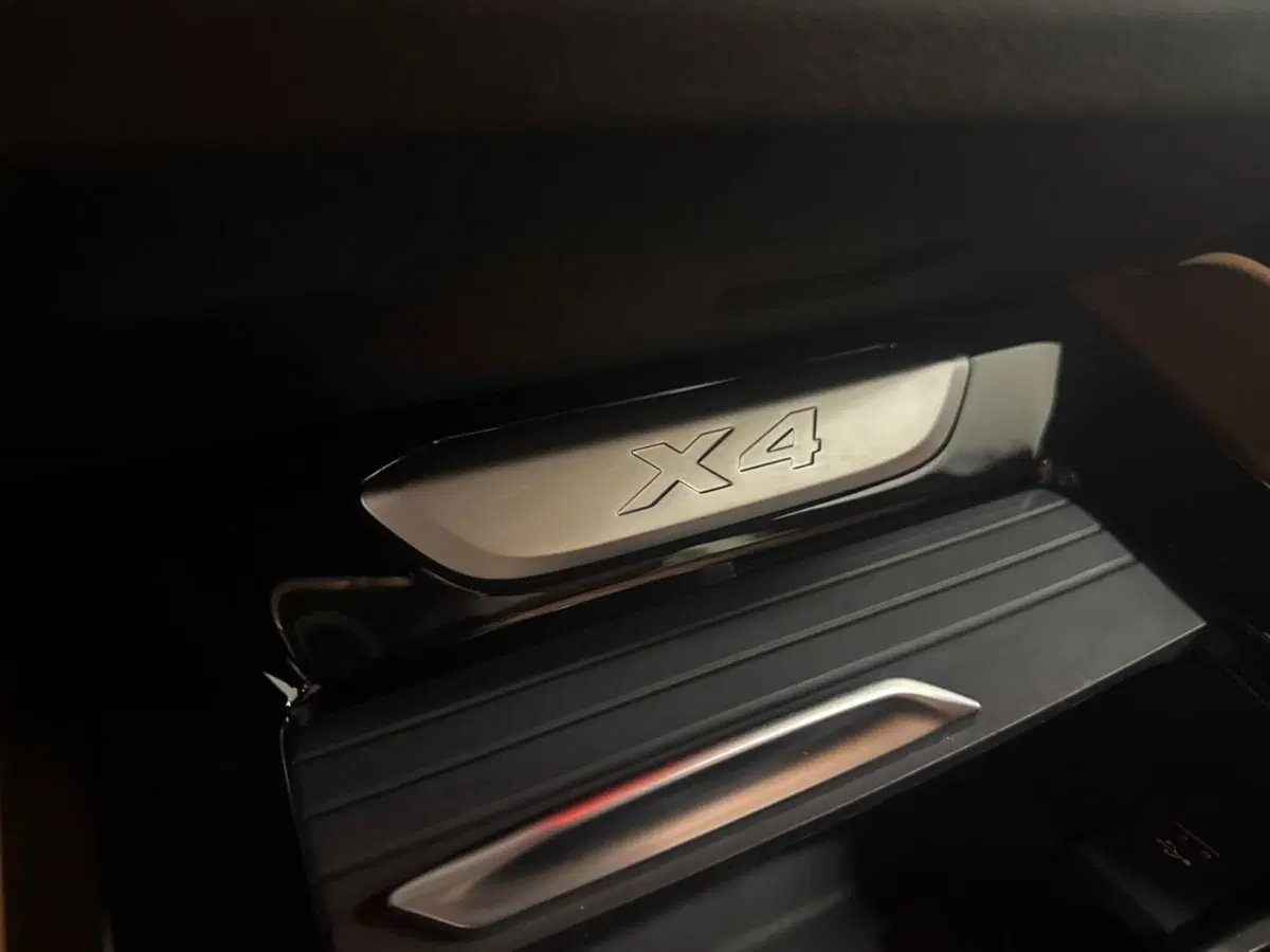 BMW X4 usata a Firenze (20)