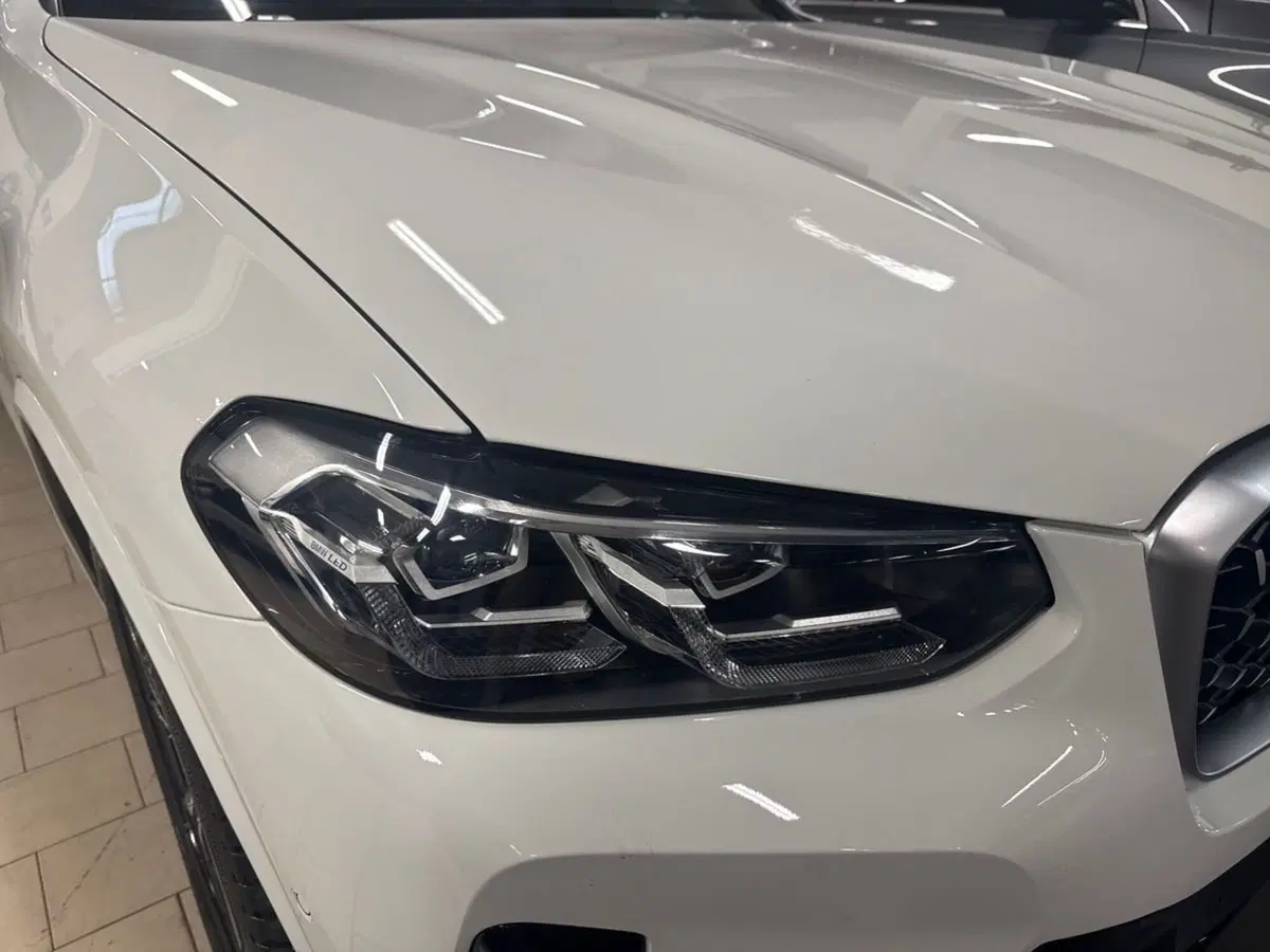 BMW X4 usata a Firenze (7)