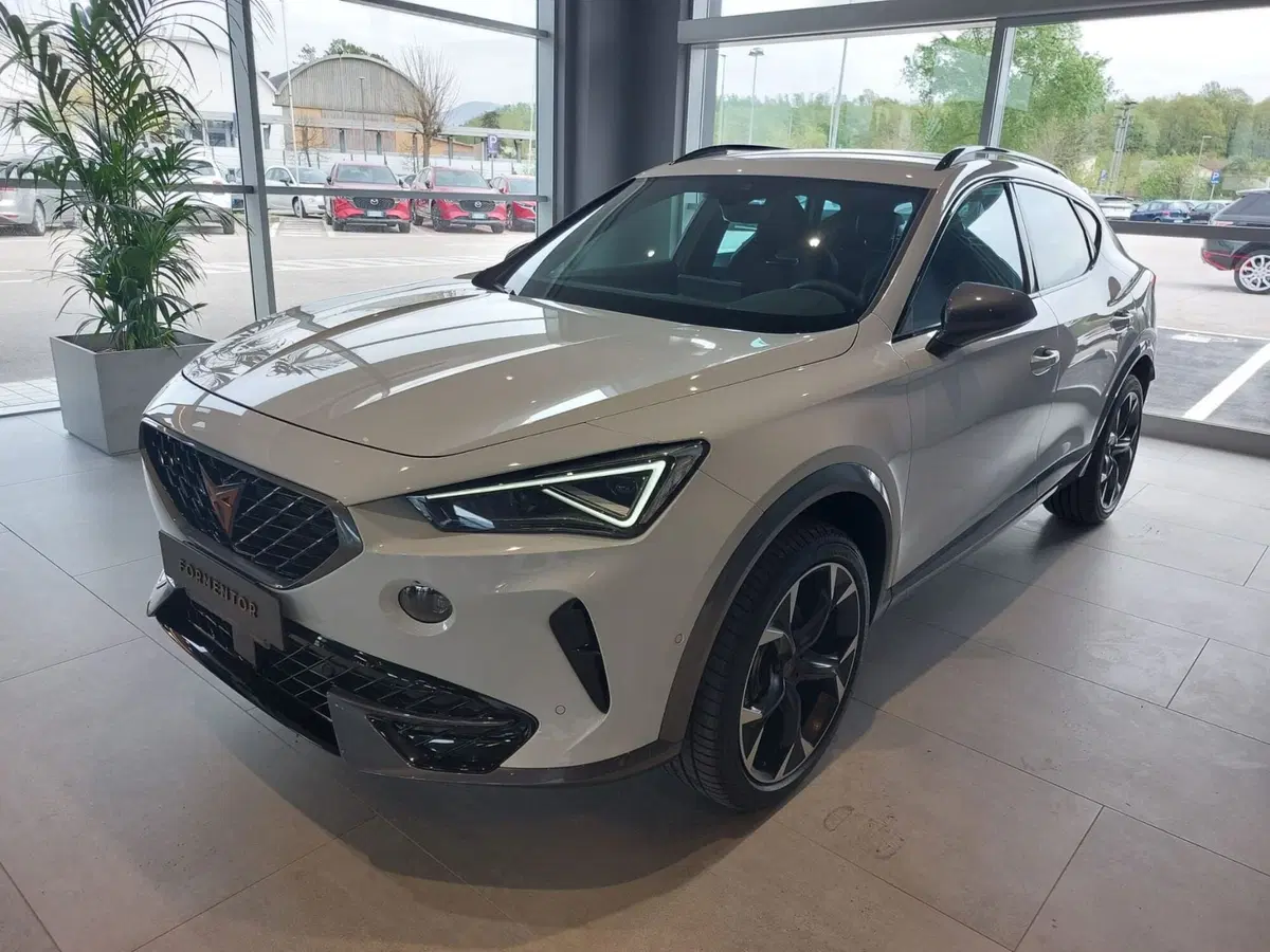 Cupra Formentor usata a Frosinone
