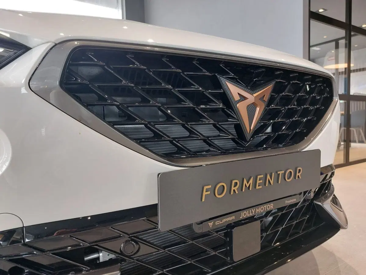Cupra Formentor usata a Frosinone (11)