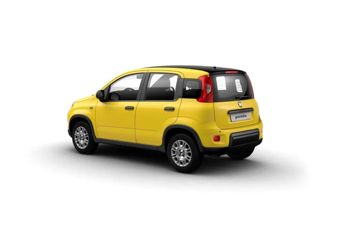 Fiat Pandina usata a Frosinone (2)