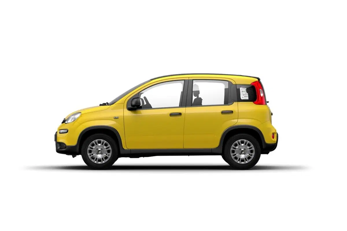 Fiat Pandina usata a Frosinone (3)