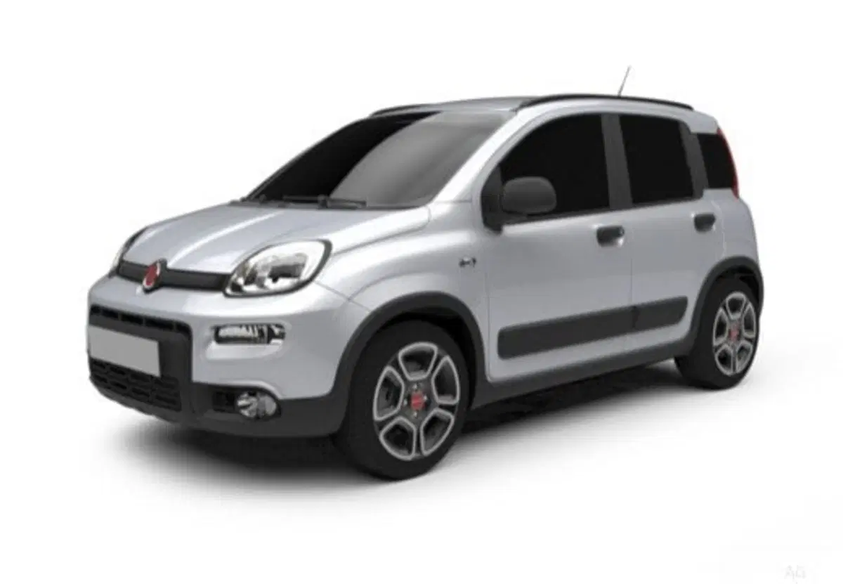 Fiat Pandina usata a Frosinone (4)