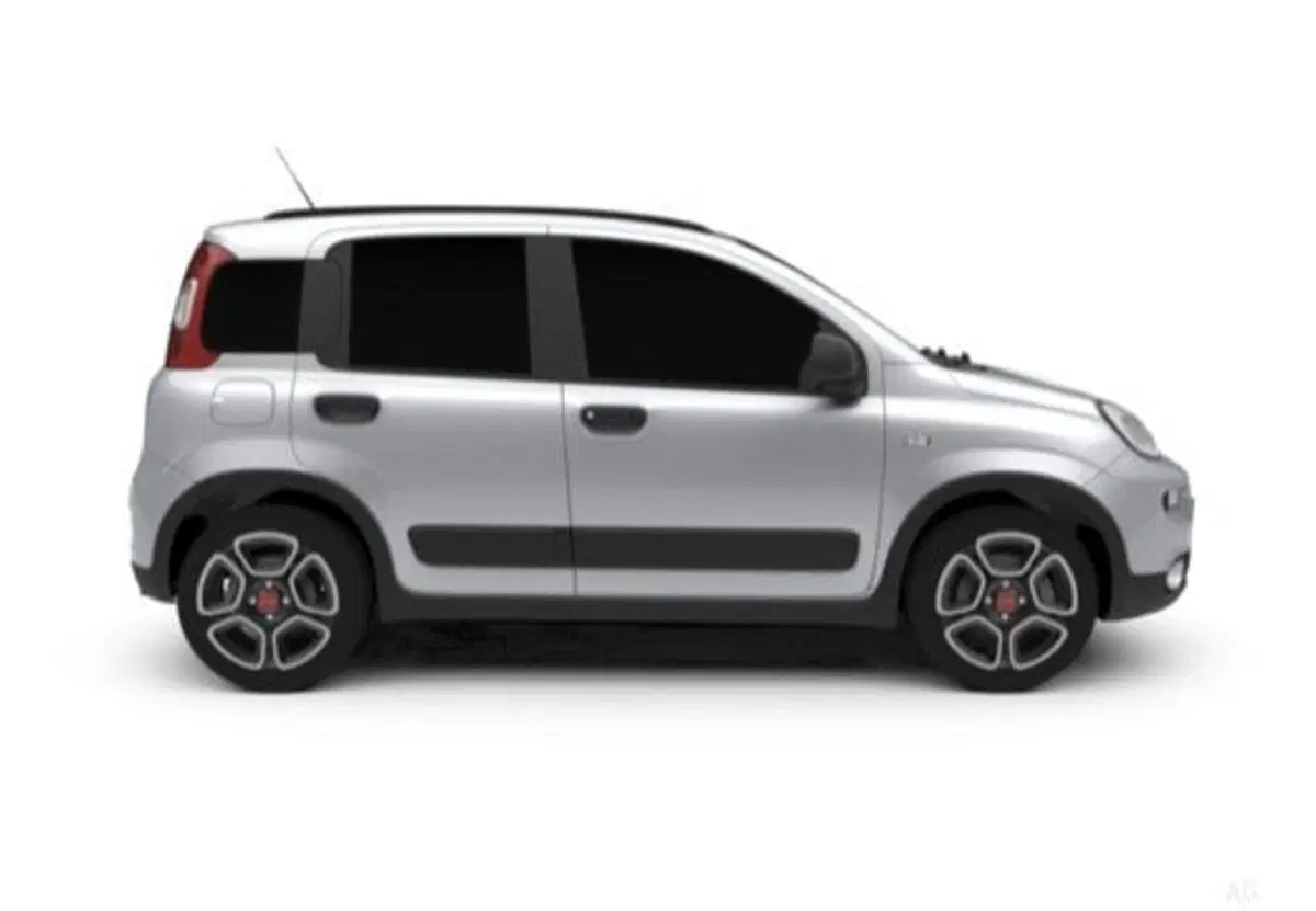 Fiat Pandina usata a Frosinone (5)