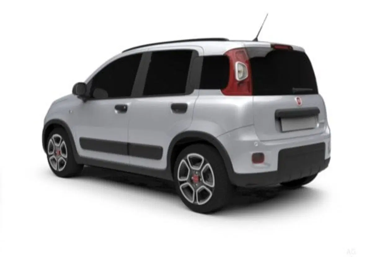 Fiat Pandina usata a Frosinone (6)