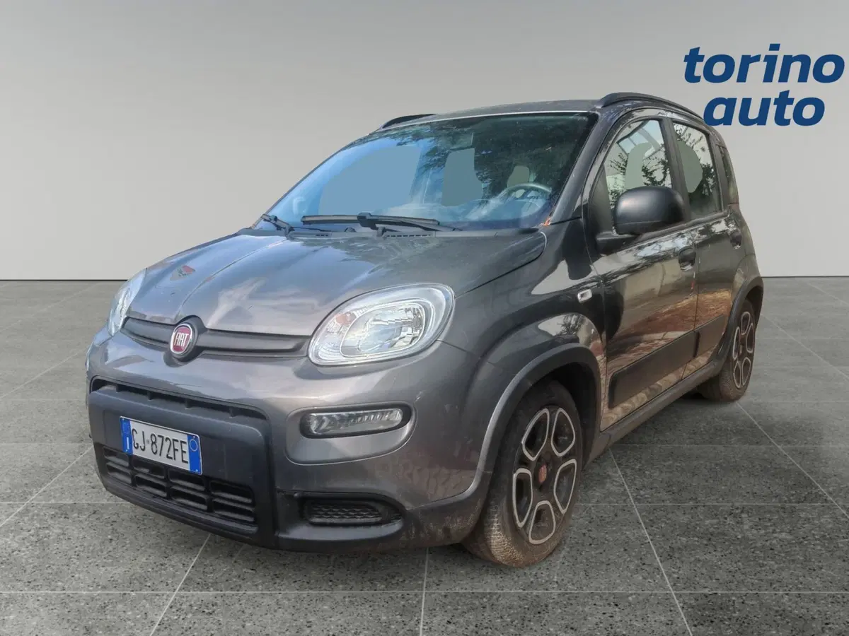 Fiat Panda usata a Torino (2)