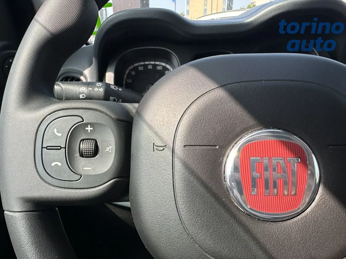 Fiat Panda Cross usata a Torino (15)