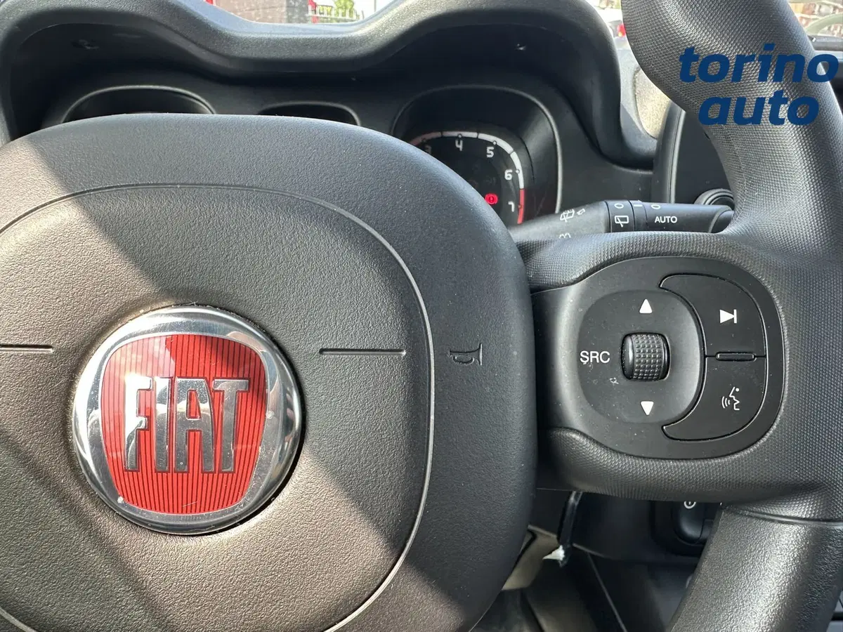 Fiat Panda Cross usata a Torino (16)