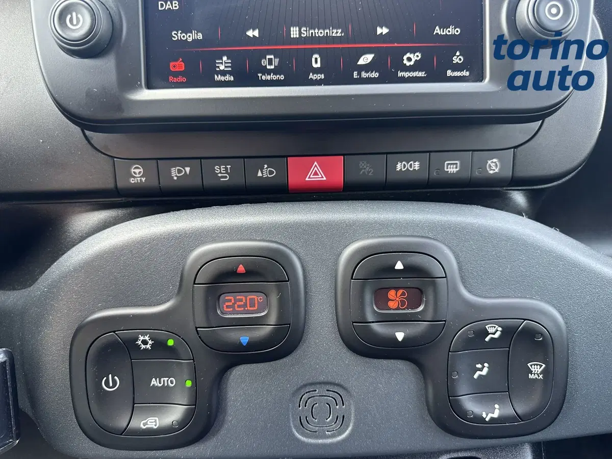 Fiat Panda Cross usata a Torino (19)