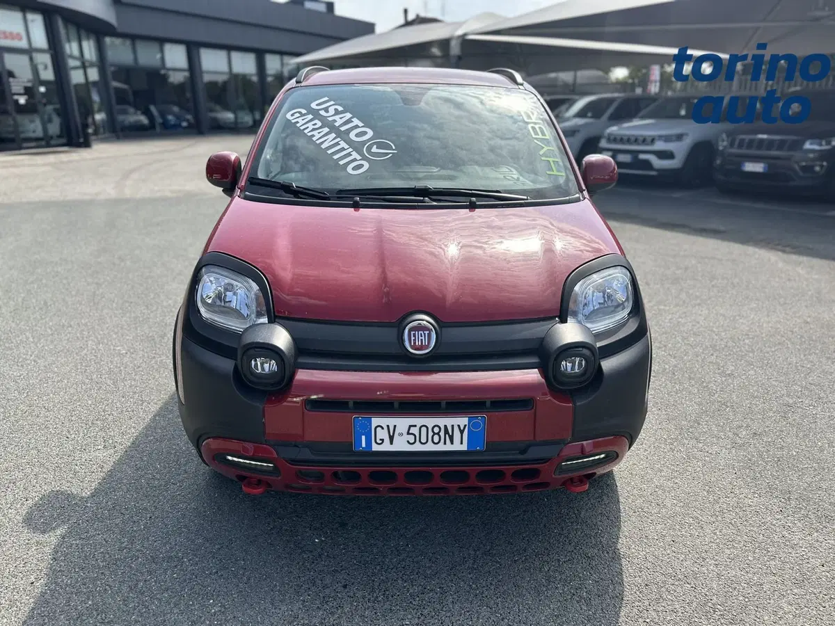 Fiat Panda Cross usata a Torino (2)
