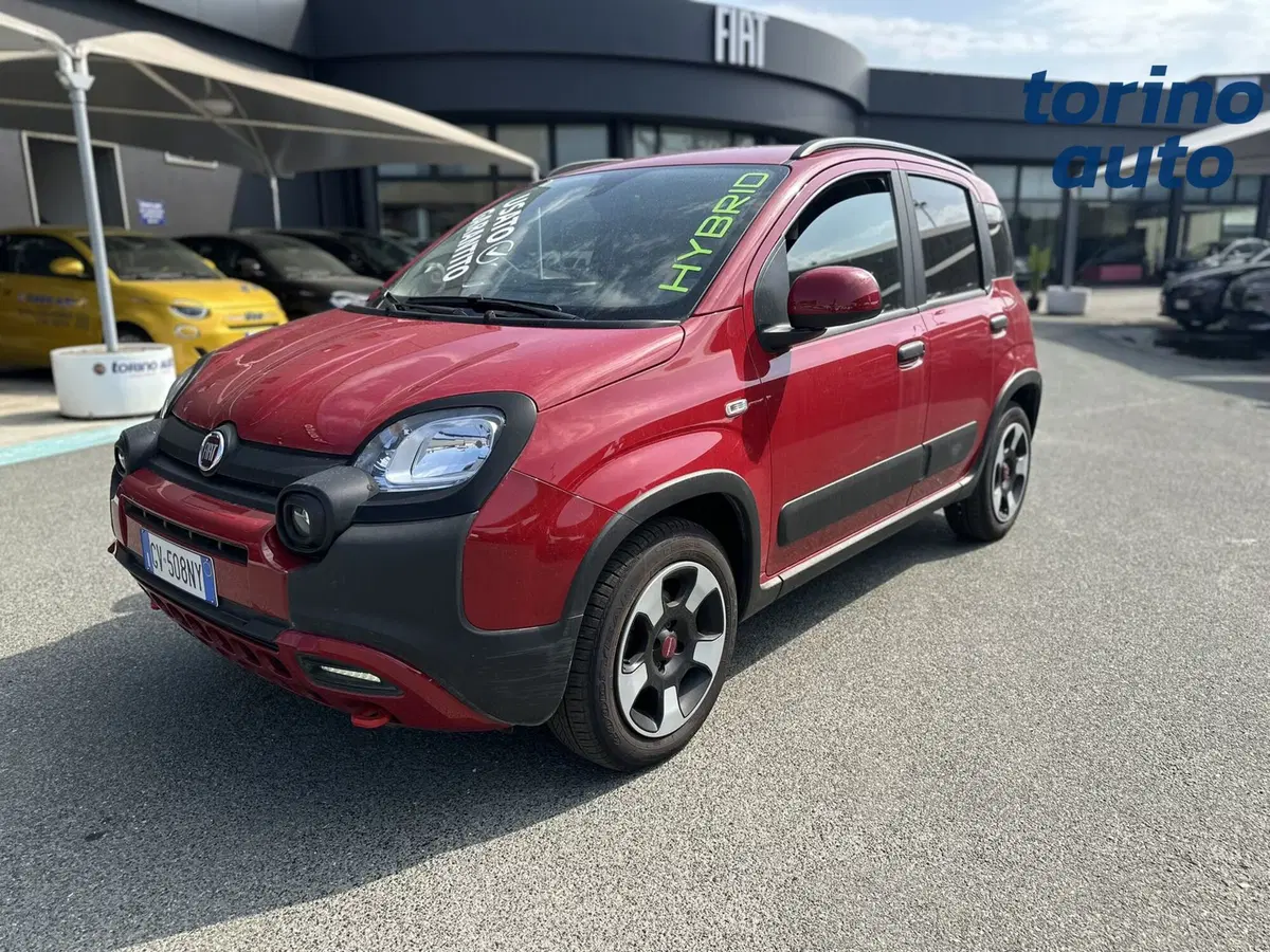 Fiat Panda Cross usata a Torino (3)