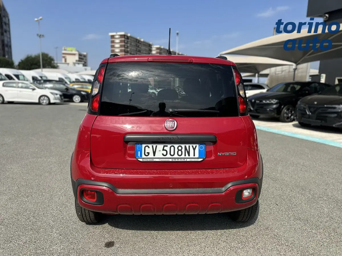 Fiat Panda Cross usata a Torino (6)