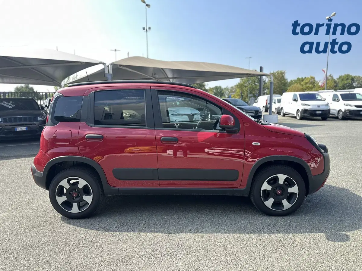 Fiat Panda Cross usata a Torino (8)