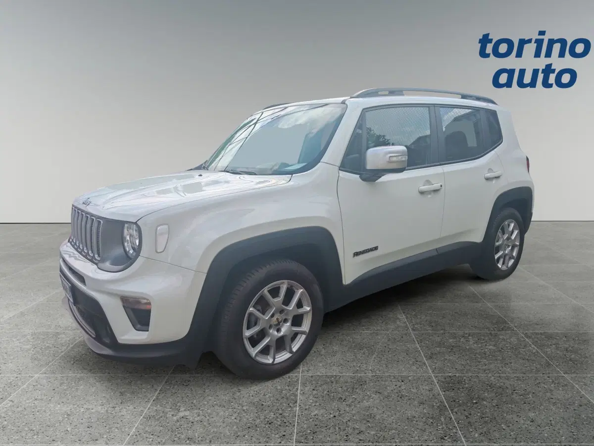Jeep Renegade usata a Torino (2)