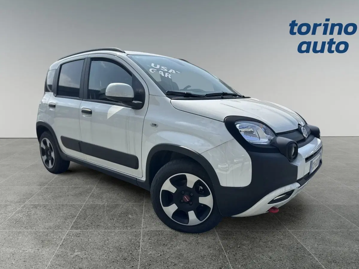 Fiat Panda Cross usata a Torino