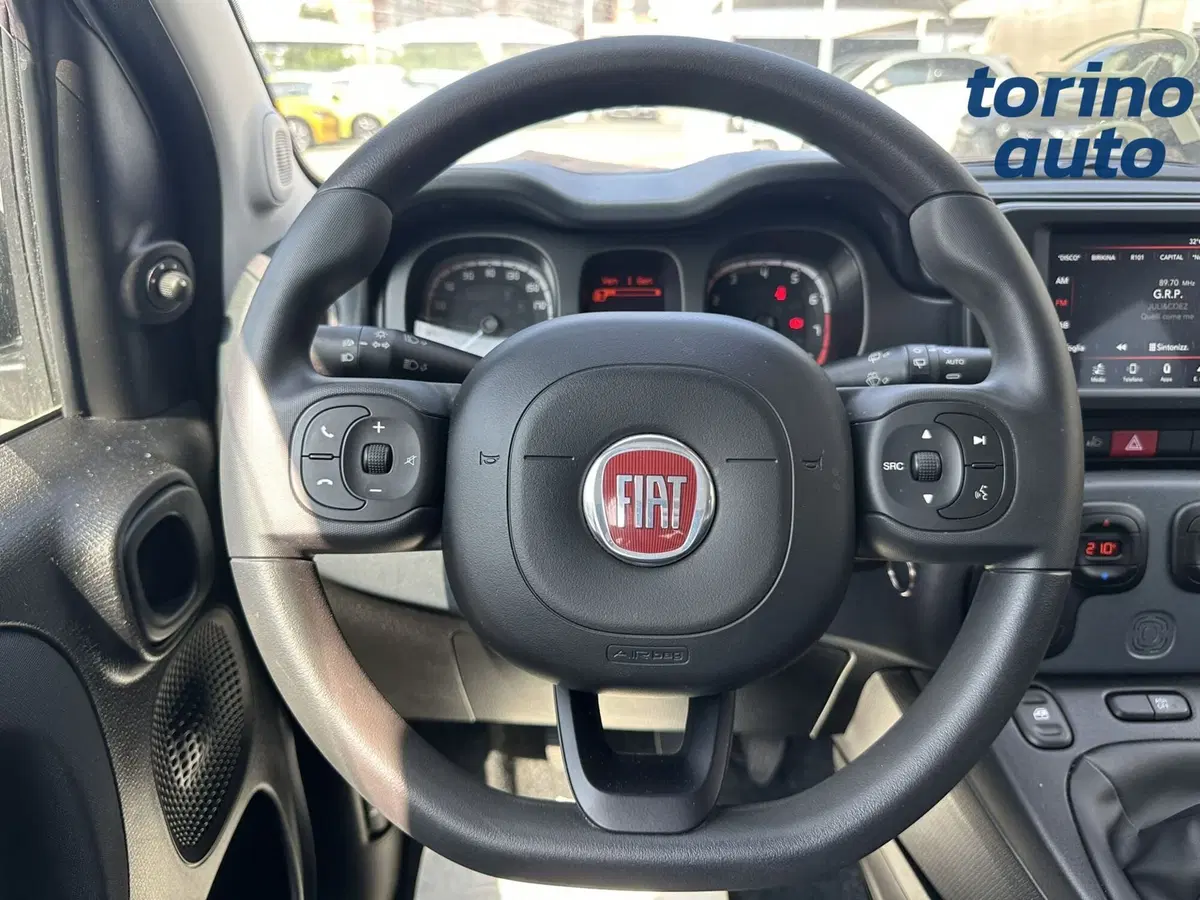 Fiat Panda Cross usata a Torino (15)