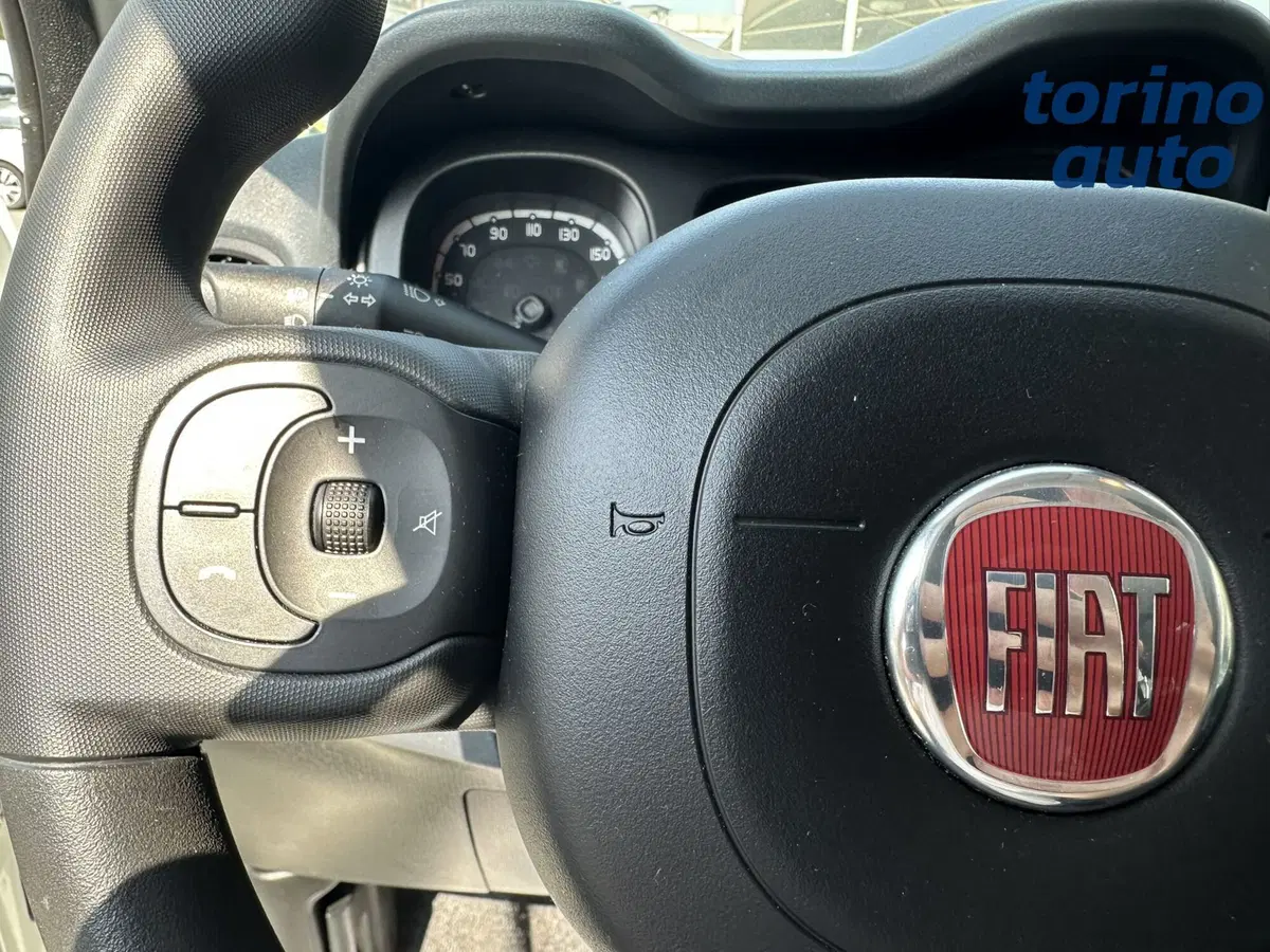Fiat Panda Cross usata a Torino (16)
