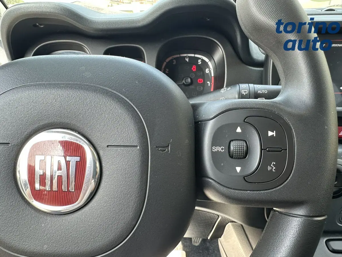 Fiat Panda Cross usata a Torino (17)