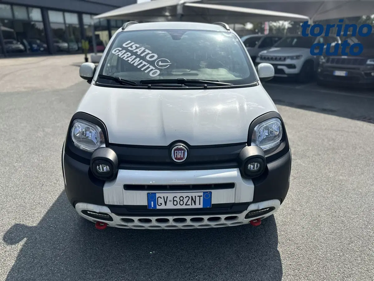 Fiat Panda Cross usata a Torino (2)