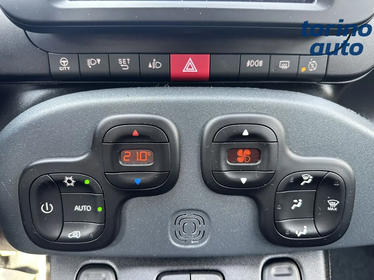 Fiat Panda Cross usata a Torino (20)