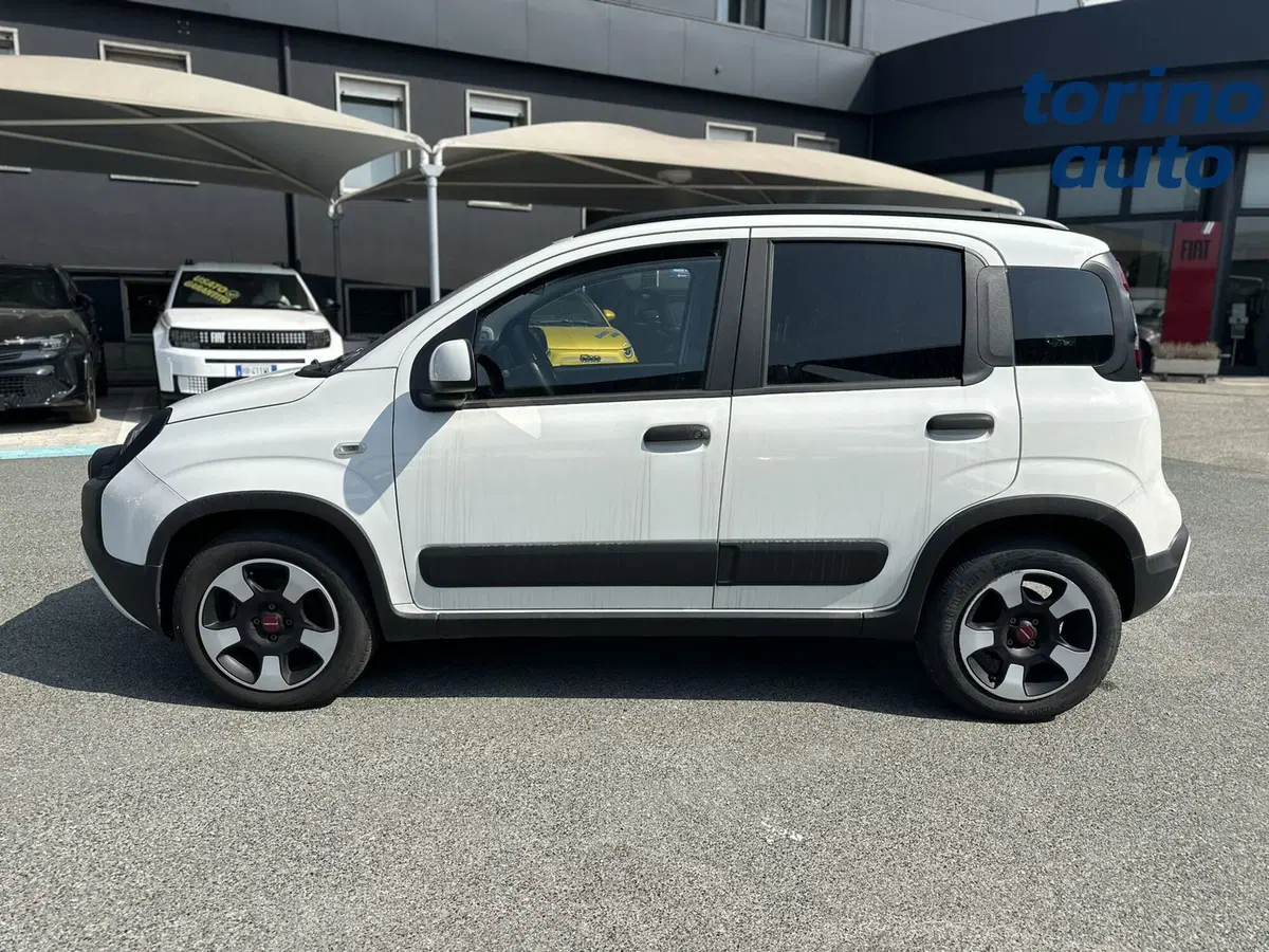 Fiat Panda Cross usata a Torino (4)
