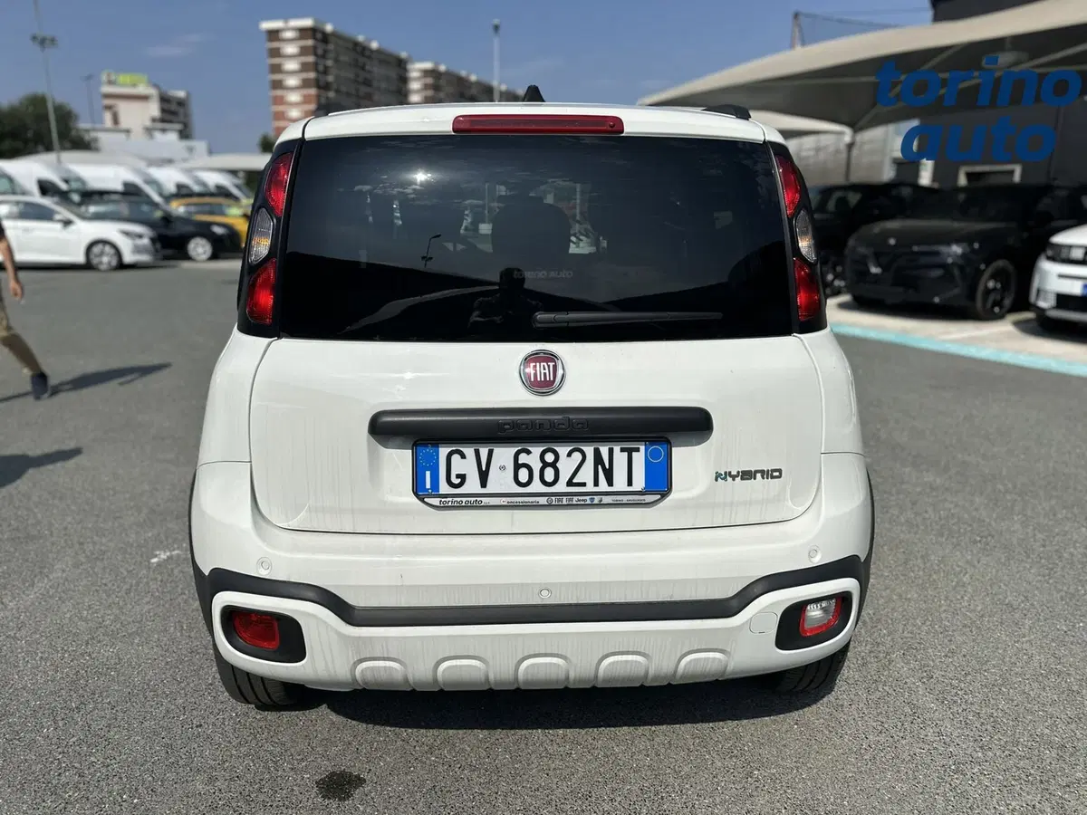 Fiat Panda Cross usata a Torino (6)