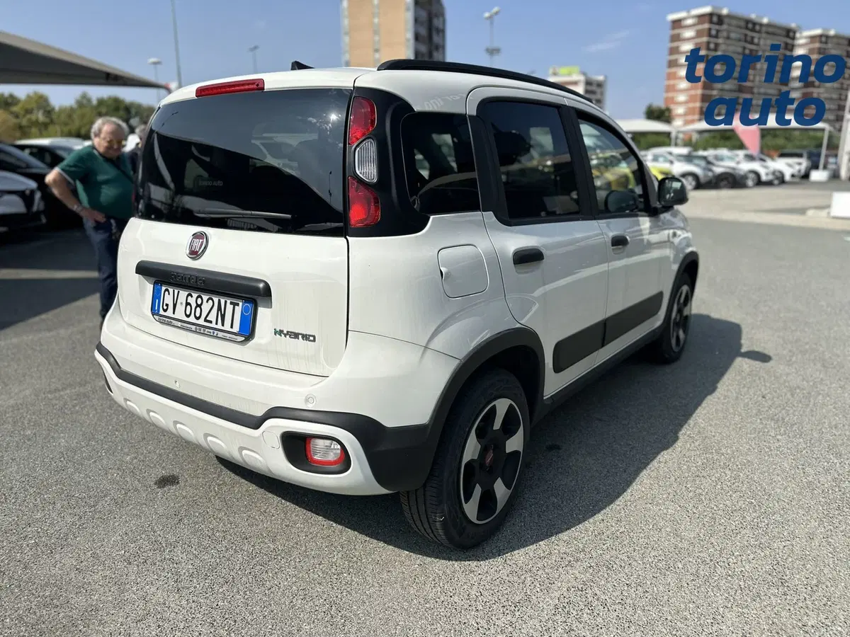 Fiat Panda Cross usata a Torino (7)