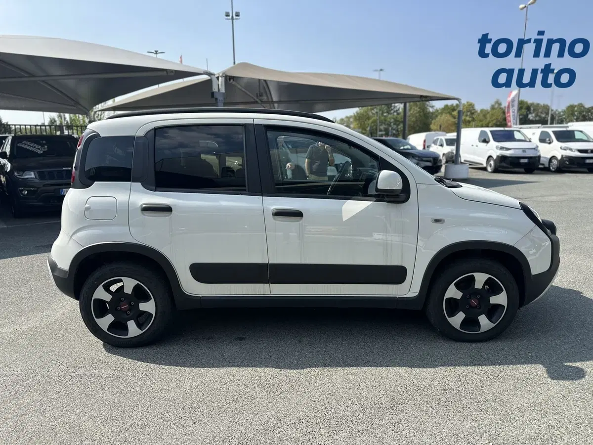 Fiat Panda Cross usata a Torino (8)
