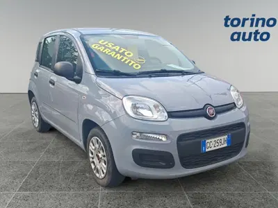 Fiat Panda 1.2 Easy del 2020 usata a Grugliasco