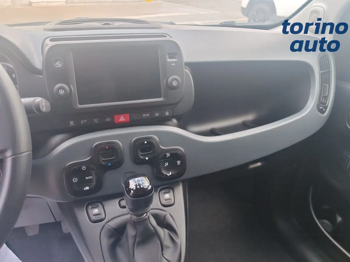 Fiat Panda Cross usata a Torino (11)