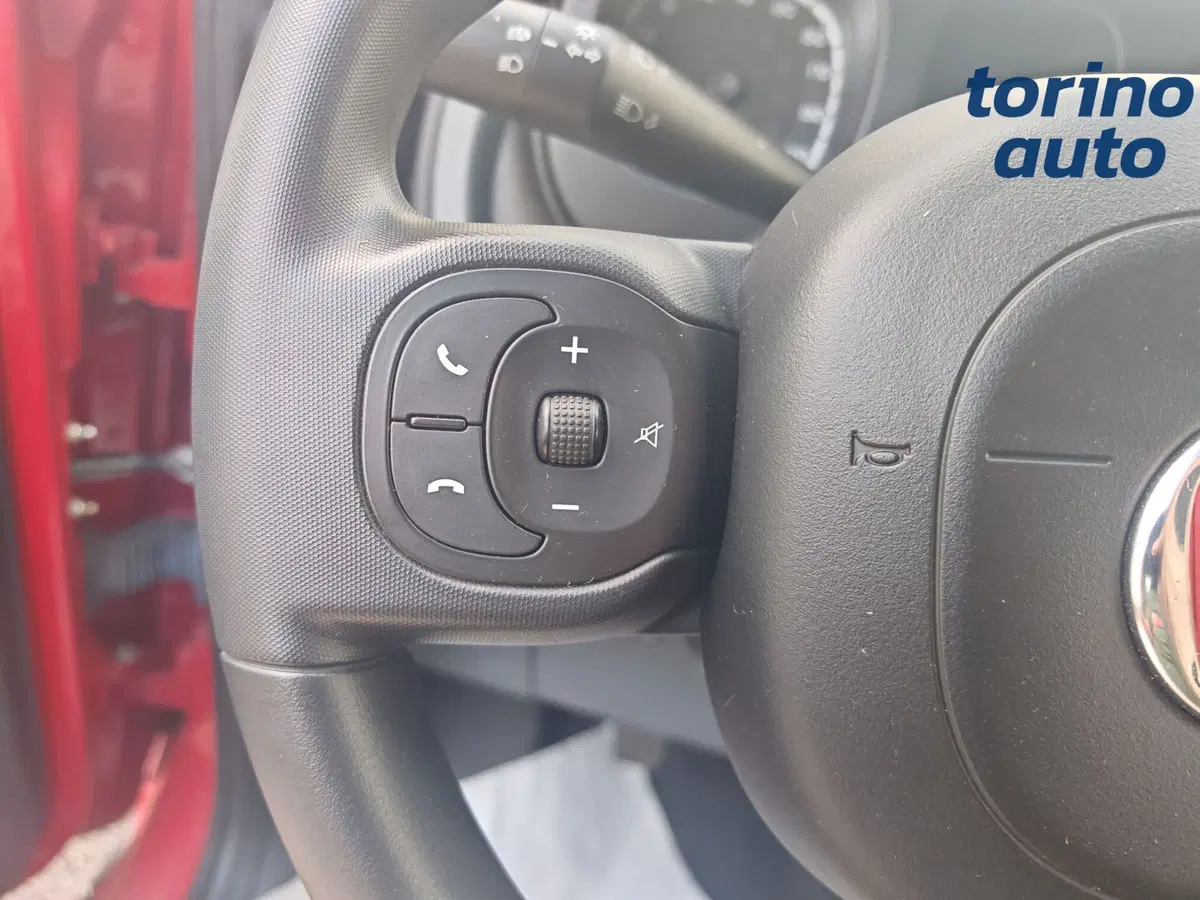 Fiat Panda Cross usata a Torino (12)