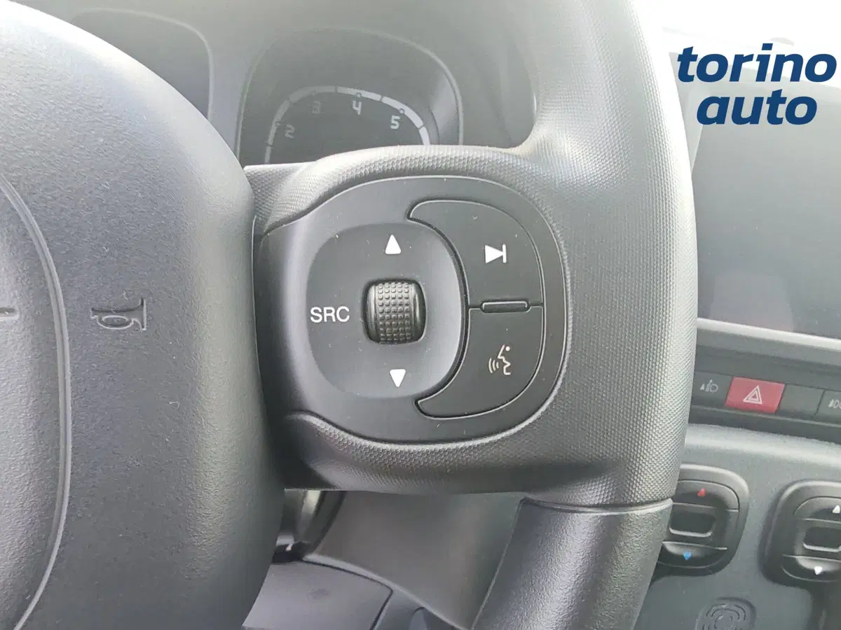 Fiat Panda Cross usata a Torino (13)