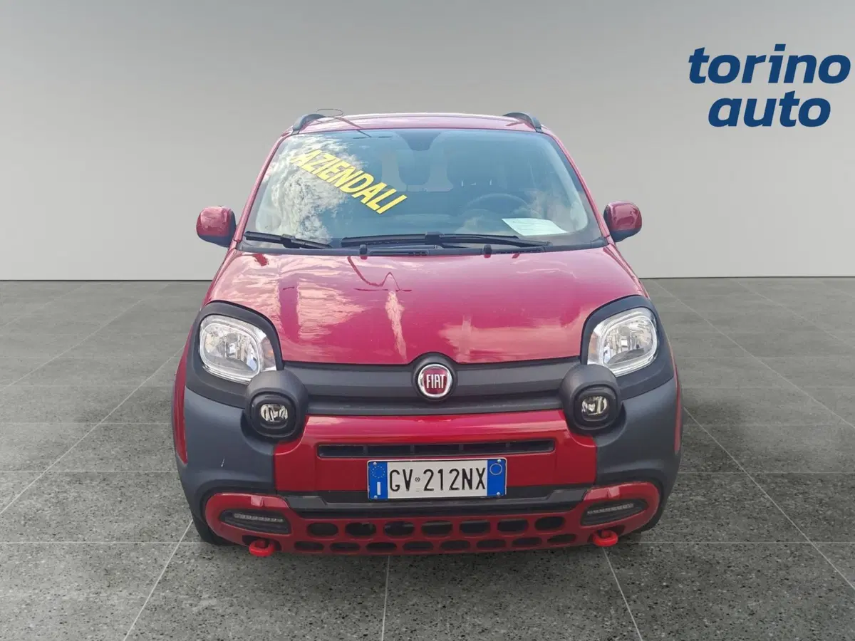 Fiat Panda Cross usata a Torino (2)