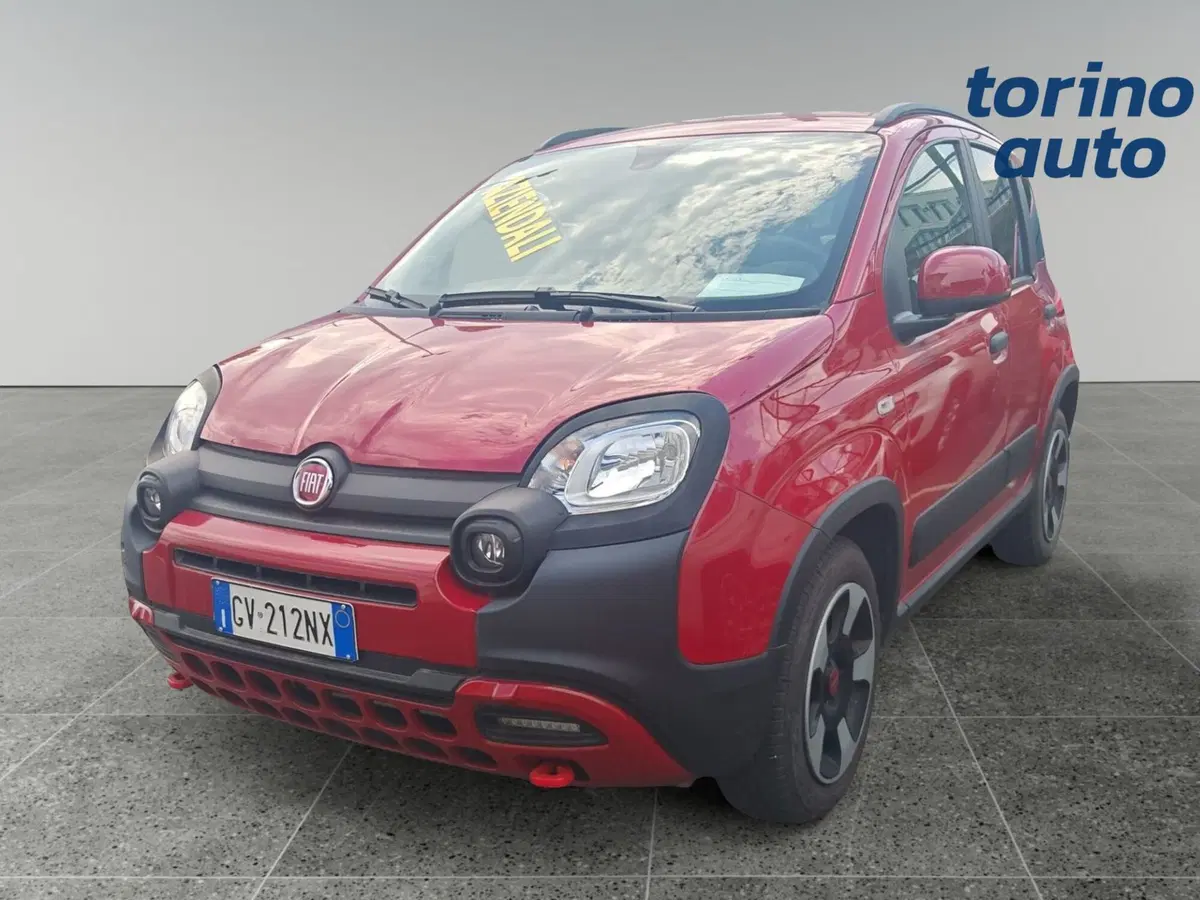 Fiat Panda Cross usata a Torino (3)