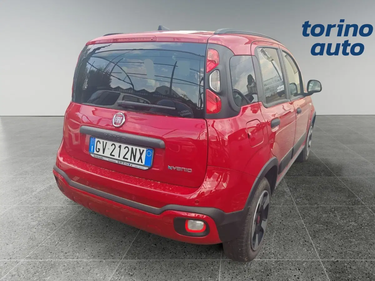 Fiat Panda Cross usata a Torino (5)