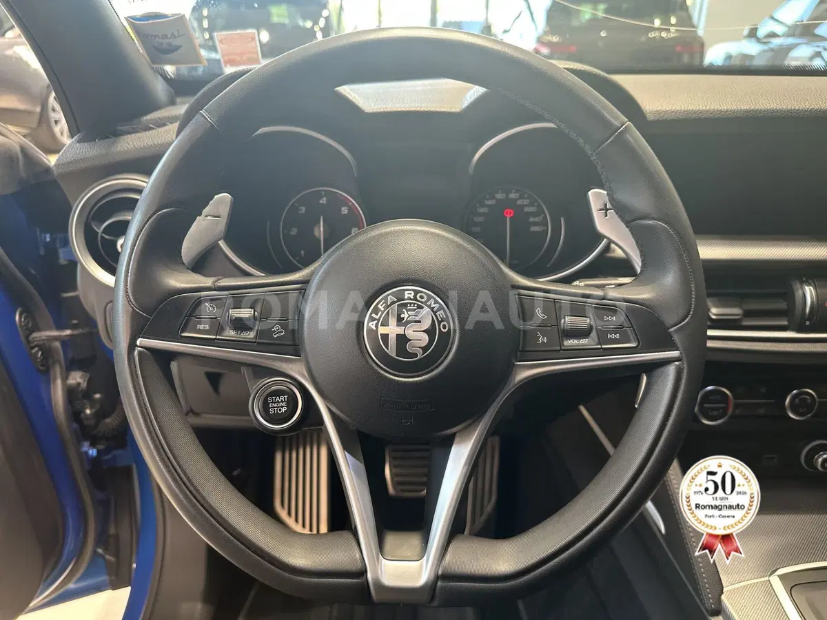 Alfa Romeo Stelvio usata a Forlì-Cesena (16)