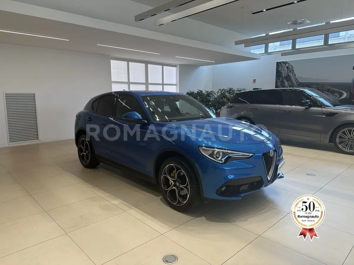 Alfa Romeo Stelvio usata a Forlì-Cesena (3)